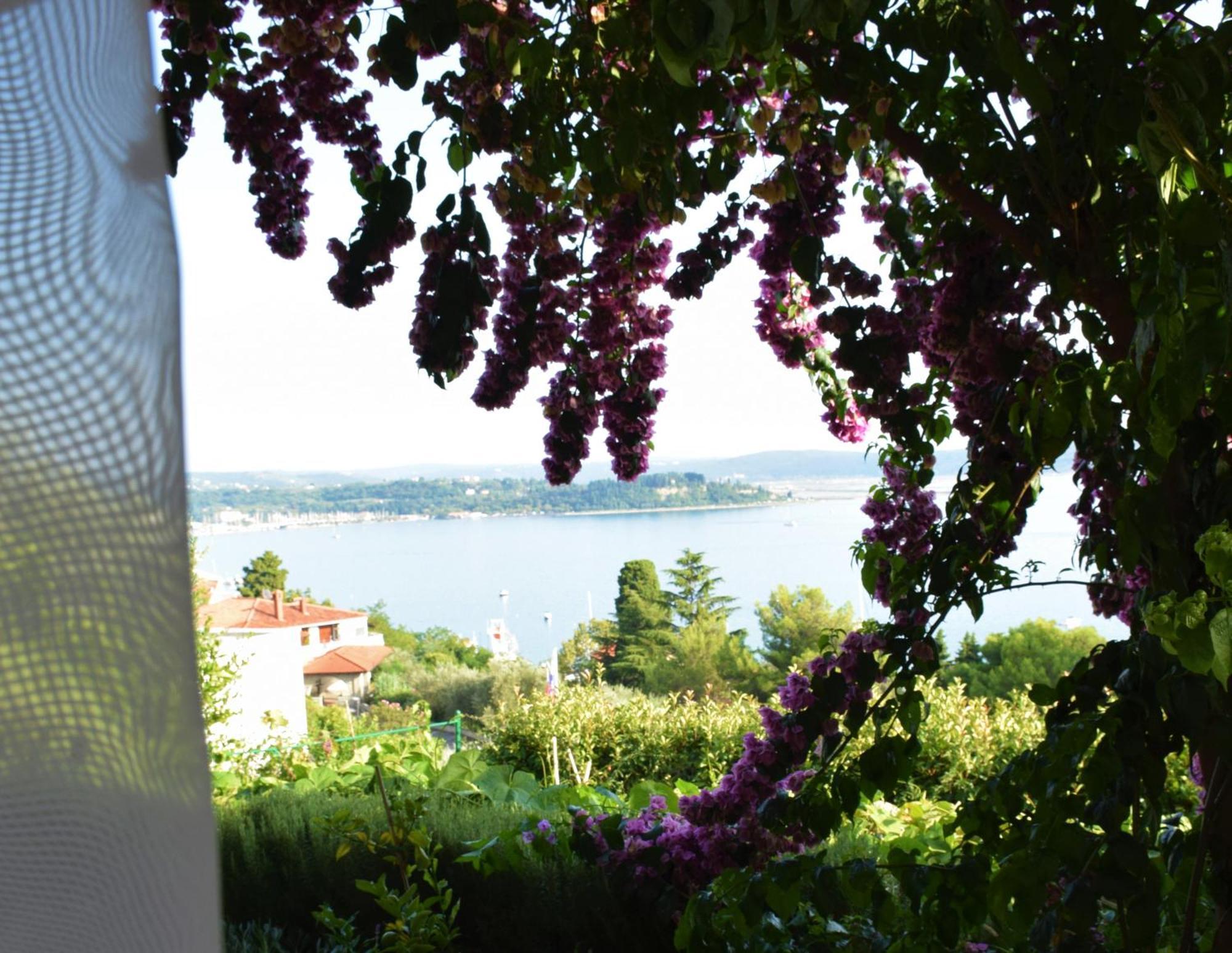 Apartments Fink Portoroz Exterior photo