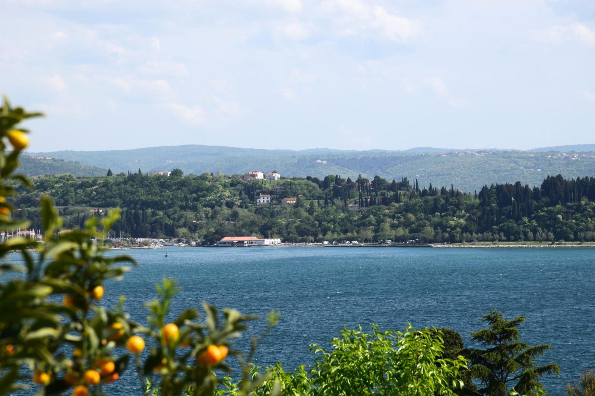 Apartments Fink Portoroz Exterior photo